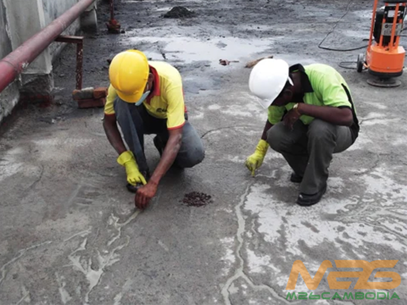 Roofkote No.1: Your Waterproofing Companion