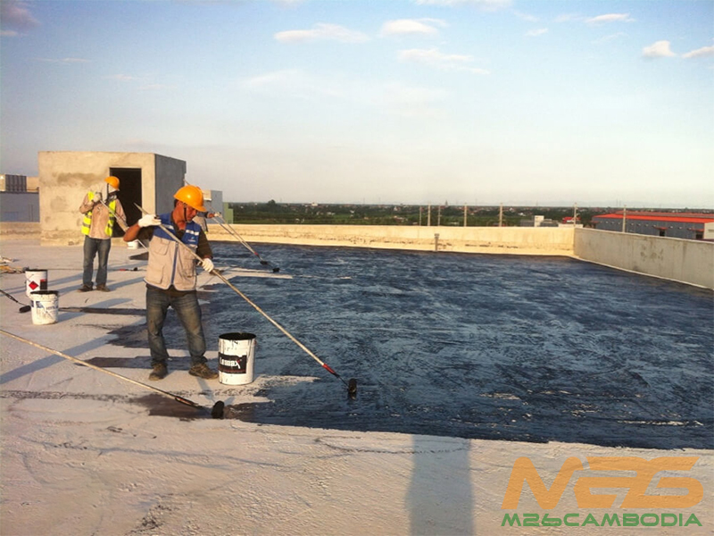 Some notes during the construction process of Lemax Primer SB